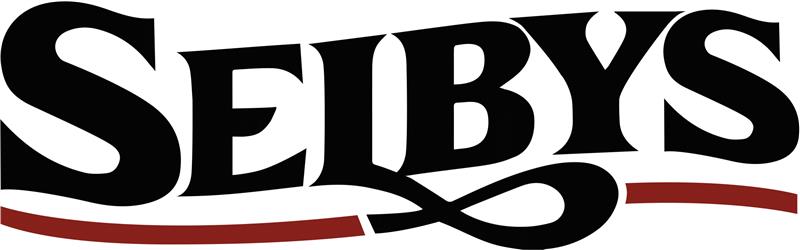 Partners - Iliatis logo